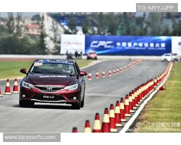 深圳排球队以82分领跑洲际杯积分榜展现强大实力与团队合作精神